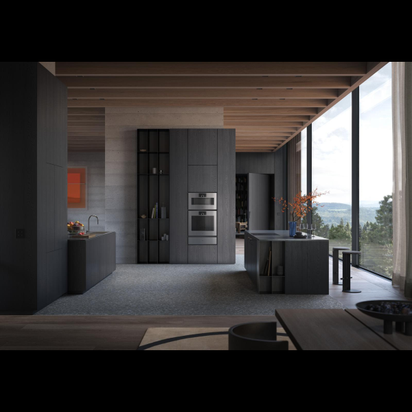 Gaggenau GS480120, Gaggenau Expressiv series, steam oven,...